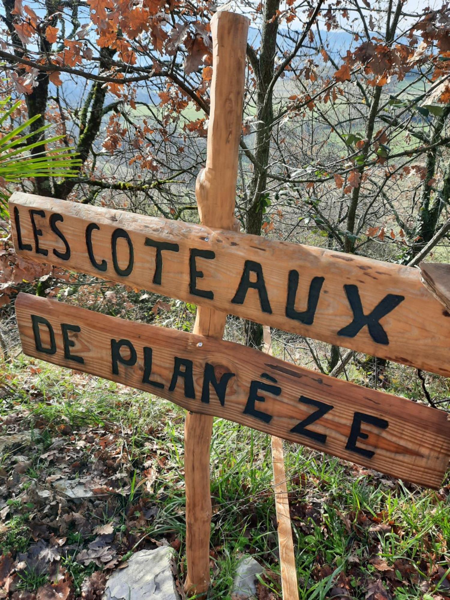 Les Coteaux De Planeze, Ideal Deplacement Pro, Chambres Individuelles Lit 160 Television Saint-Laurent-les-Tours エクステリア 写真